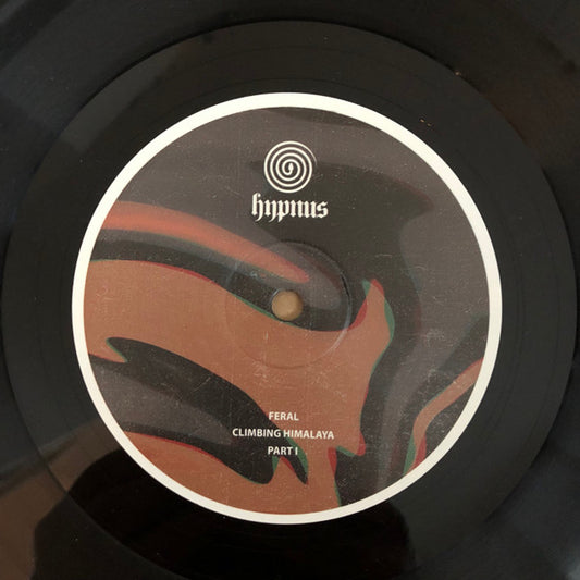 Feral (11) : Climbing Himalaya: Part I (12", RP, 180)