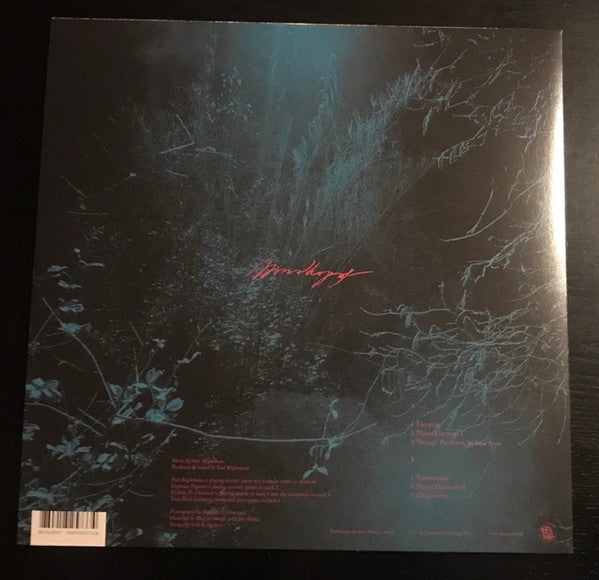 Mondkopf - Spring Stories — back sleeve