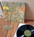 Zeitkratzer, Reinhold Friedl : Scarlatti (LP, Album, Ltd, 180)