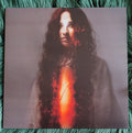 The Allegorist : Tekhenu (LP, Album, 180)
