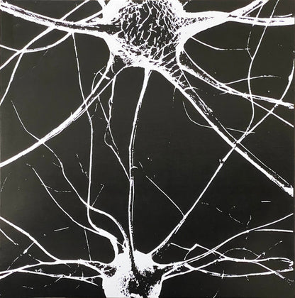 Filmmaker (2) : Death Lessons (7", EP)