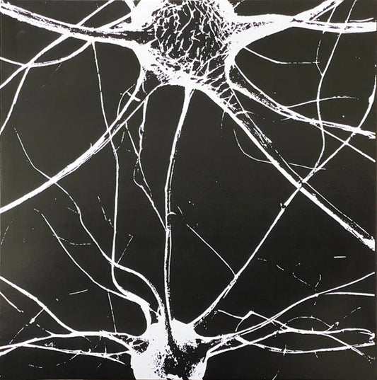 Filmmaker (2) : Death Lessons (7", EP)