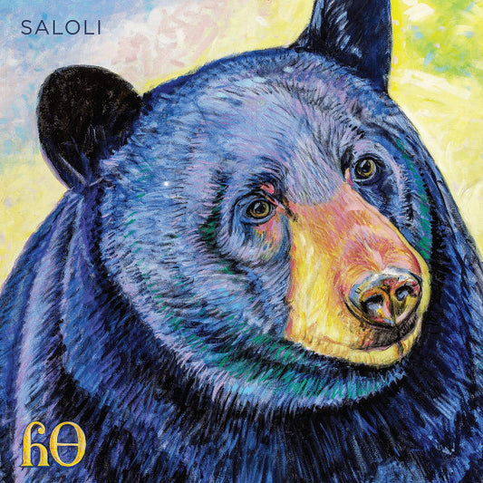Saloli : Canyon (LP)