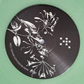 Ditian : Serpenta (LP, EP, Ltd, Gre)