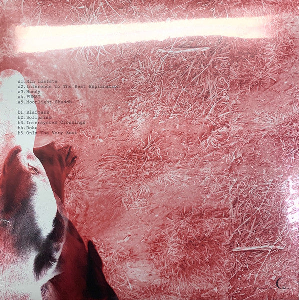 Ann Eysermans : Moonlight Shadoh (LP, Album)