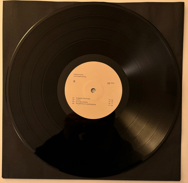 Dasha Rush : Contemplating (LP, Album)