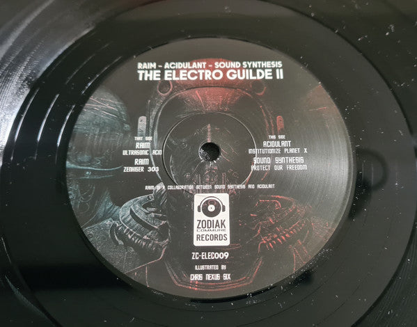 RAIM - Acidulant - Sound Synthesis - The Electro Guilde II — front sleeve