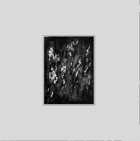 Various : ASKRNVA05 (2xLP, Ltd)