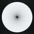Carsten Nicolai : Ray Collector (10", Ltd, Pic)