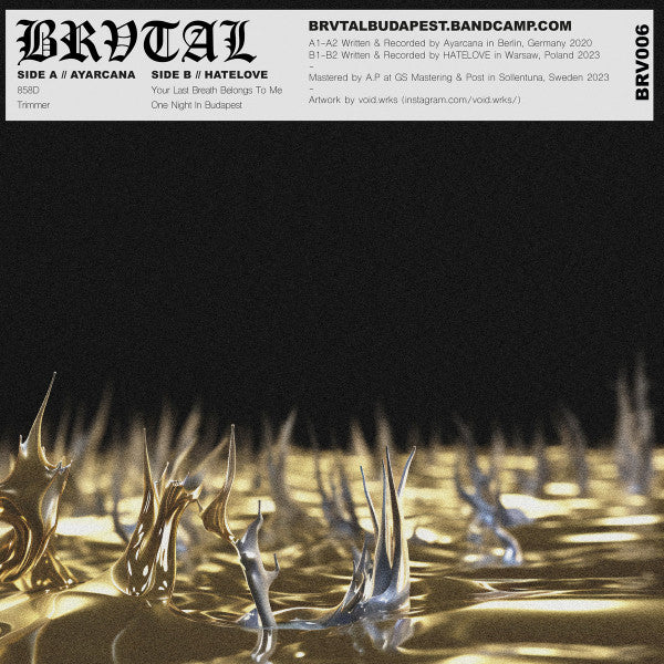 Ayarcana // HATELOVE - BRV006 — back sleeve