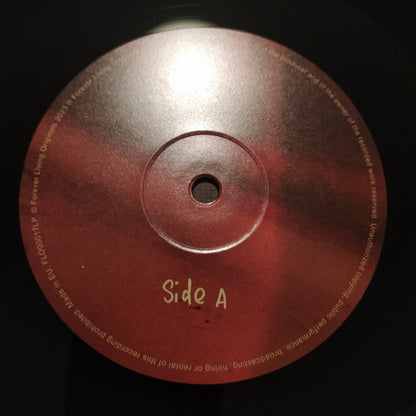 Cleo Sol : Heaven (LP)