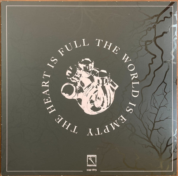 Raspberry Bulbs - The World Is Empty, The Heart Is Full — back sleeve