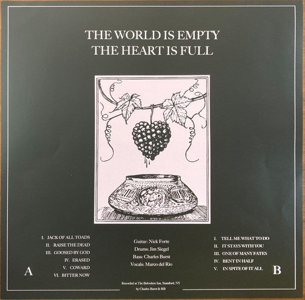 Raspberry Bulbs : The World Is Empty, The Heart Is Full (LP)