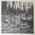 Topographies : Interior Spring (LP, Album)