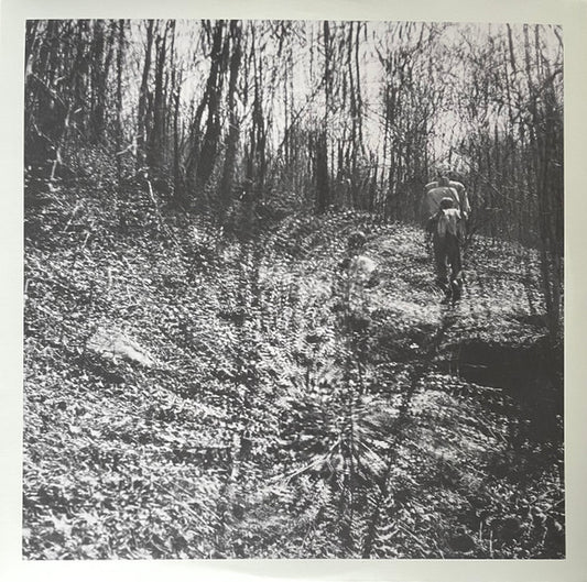 Topographies : Interior Spring (LP, Album)