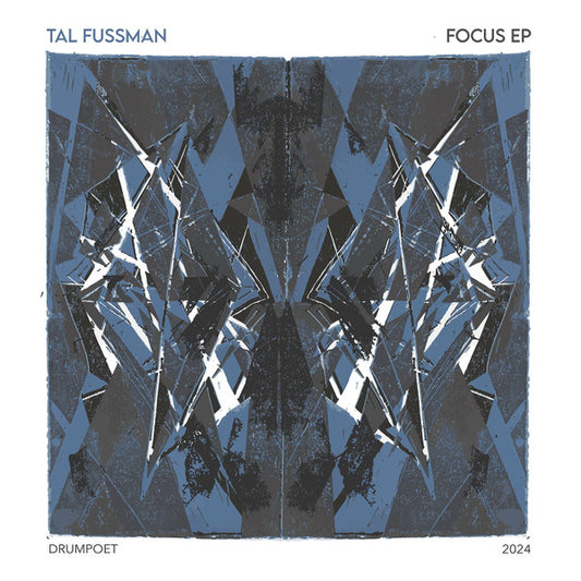 Tal Fussman : Focus EP (12", EP)