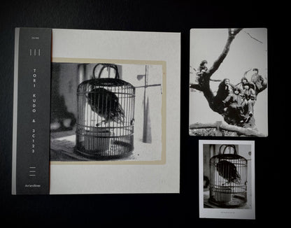 Tori Kudo & 3C123 : Tori Kudo & 3C123 (LP, Album, Ltd, RE)