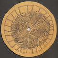 Wave Arising : The Rooted Sky (2xLP, Album)
