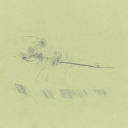 Francis Plagne : Asleep In A Beached Boat (LP, Album, Ltd, RE)