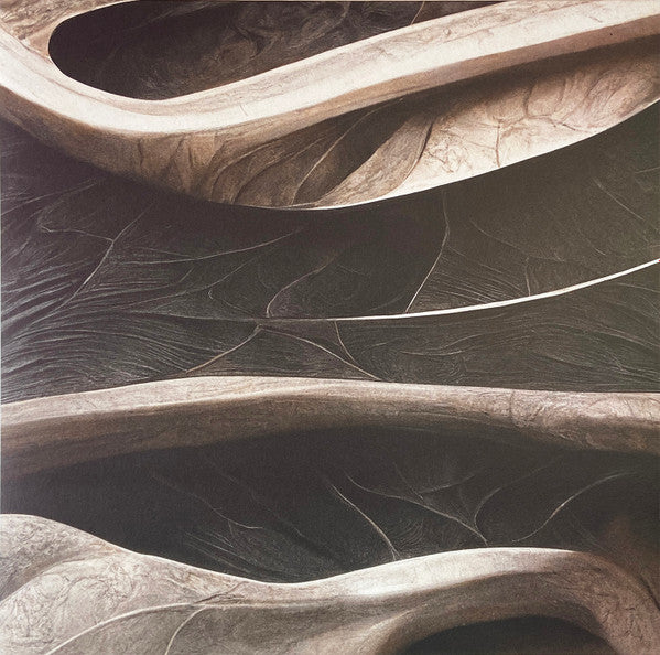 Stanislav Tolkachev - NECH024 — front sleeve