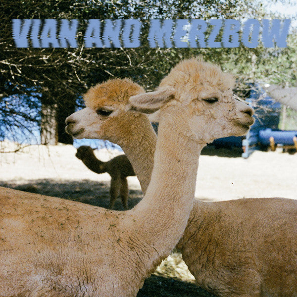Pedro Vian And Merzbow - Inside Richard Serra Sculptures — front sleeve