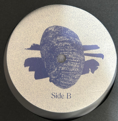 Autumns : Dyslexia Sound Source (LP, Album)