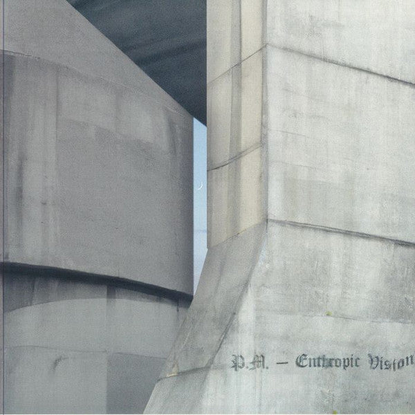 Pavel Milyakov - Enthropic Vision — front sleeve