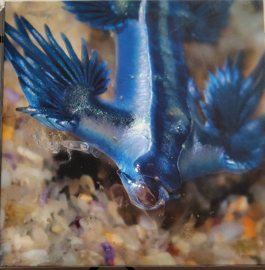 Alessandro Adriani - Four Tracks (12", Ltd, Cle) (Mint (M))