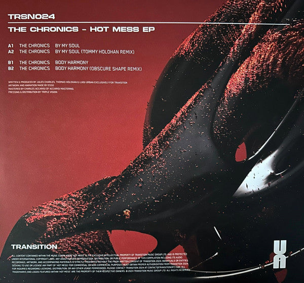 The Chronics  - Hot Mess EP — back sleeve