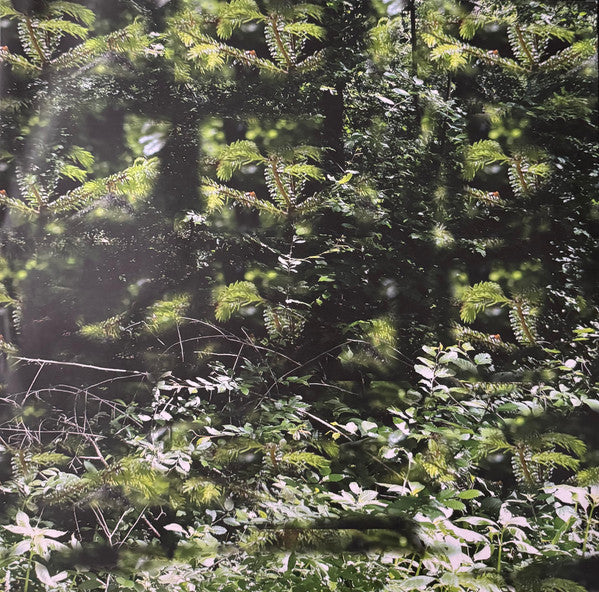 Gas : Der Lange Marsch (2xLP, RE, RM)