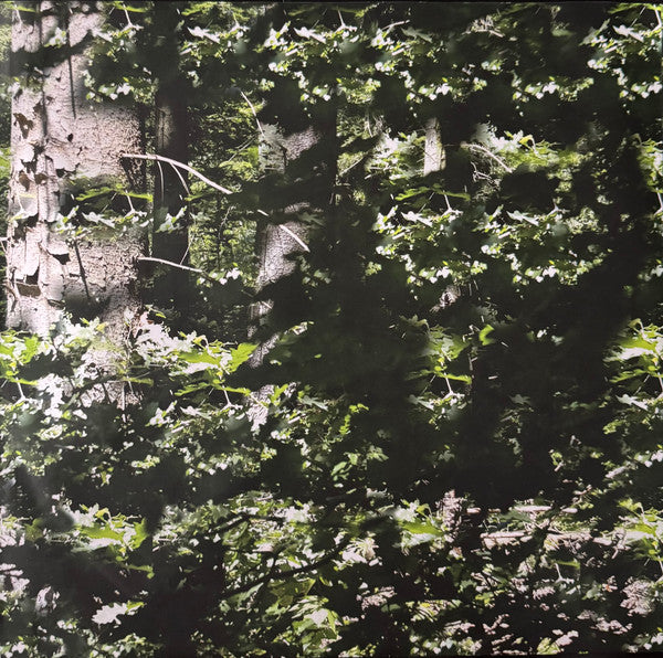 Gas : Der Lange Marsch (2xLP, RE, RM)