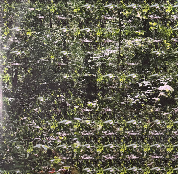 Gas : Der Lange Marsch (2xLP, RE, RM)