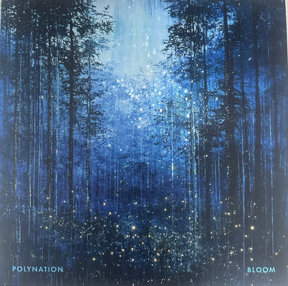 Polynation : Bloom (12", EP, Tra)