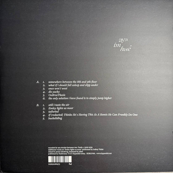 Aya  - im hole — back sleeve