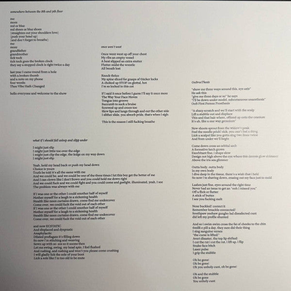 Aya (44) : im hole (LP, Album)