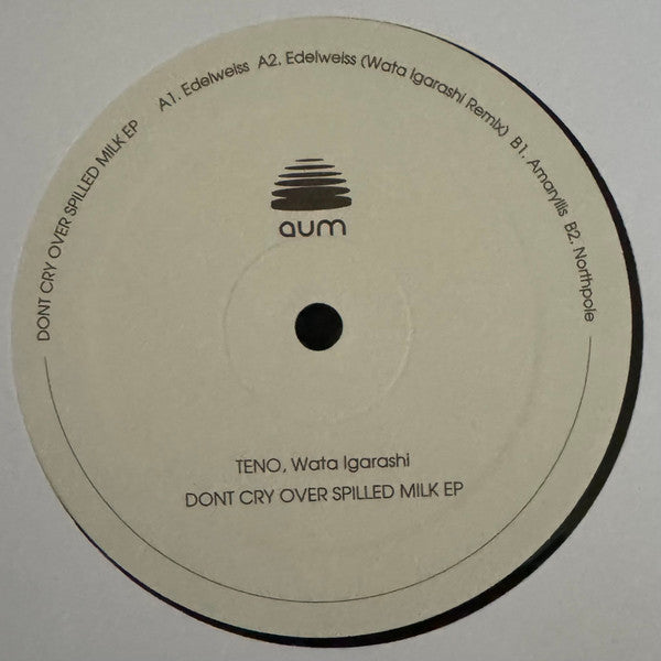 TENO (3), Wata Igarashi : Don't Cry Over Spilled Milk (12", EP)