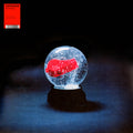 DARKSIDE (22) : Nothing (LP, Album, Ltd, Red)