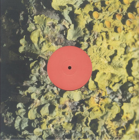 Sa Pa : The Fool (LP, Ltd, W/Lbl)