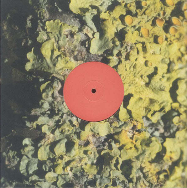 Sa Pa - The Fool — front sleeve
