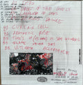Saffron Bloom : Saffron Bloom (LP, Album)