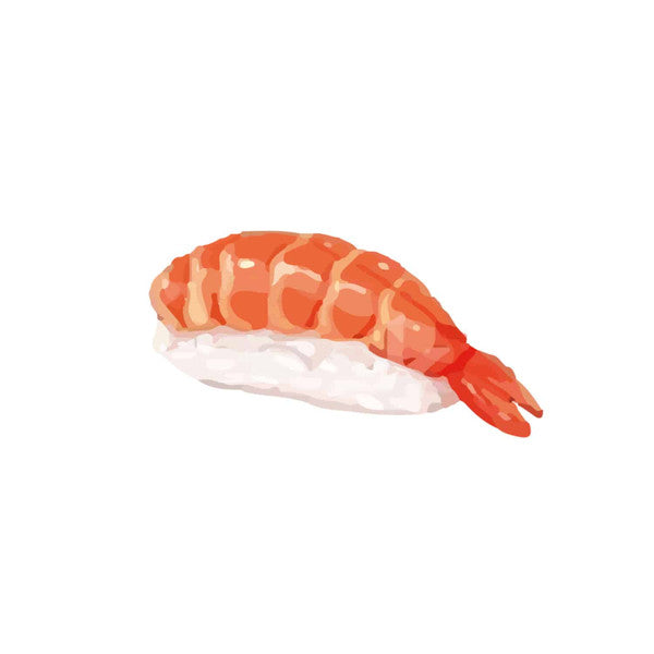 Antraum - Omakase 005 — front sleeve
