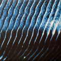 Monolake : Gravity (2xLP, Album, RE, RM)