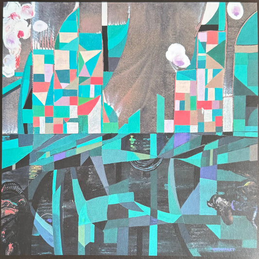 Wata Igarashi : Agartha Remixe (12")