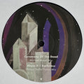 Wata Igarashi : Agartha Remixe (12")