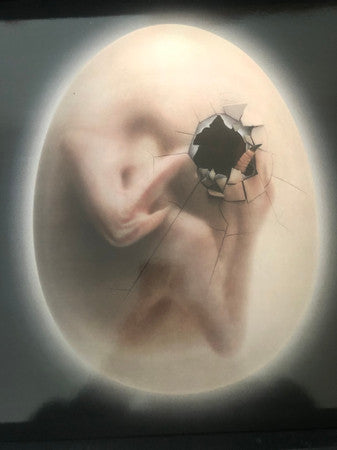 Various : Flesh Renewed (Box, Comp, Ltd, Mag + 7", Cry + 12", Cry + Cass)