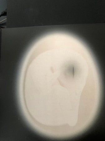 Various : Flesh Renewed (Box, Comp, Ltd, Mag + 7", Cry + 12", Cry + Cass)