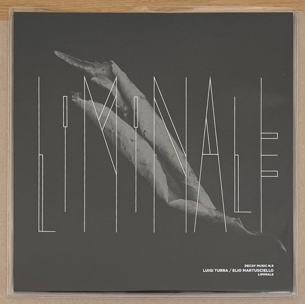 Luigi Turra / Elio Martusciello - Liminale — front sleeve