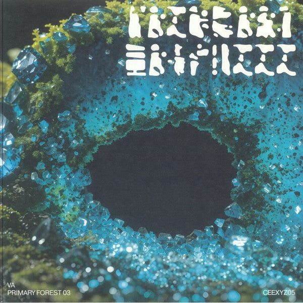 Various - Primary Forest 03 — front sleeve