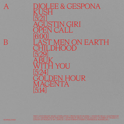 Various : Panorama 2 (12", Comp)