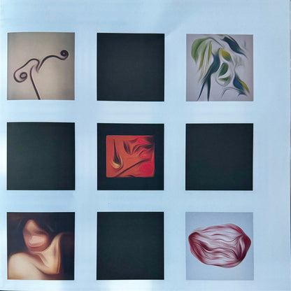 Susumu Yokota : Skintone Edition Volume 1 - Albums 1-7 (Box, Comp, RE, RM + 2xLP, Album, Gol + LP, Album, )